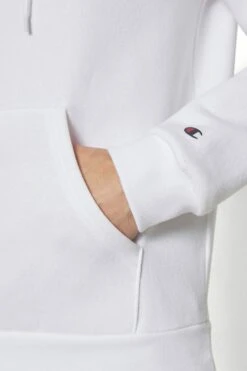 Champion Basic Hooded- Hoodie - Wht -Gant shop 05eda333c86748ab96f81fc31a913ac8 scaled
