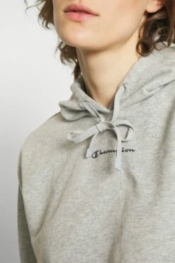 Champion Hooded - Hoodie - Grey -Gant shop 085c4fc168af4f7bb37301110aa668d5 scaled