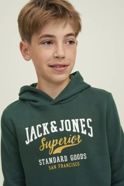 Jack & Jones Junior Elogo- Hoodie - Pine Grove -Gant shop 0b43462d6e9a418c9650a8da235bdb28 scaled