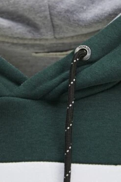 Jack & Jones Jjelogo Blocking Hood - Hoodie - Grün 6 Jack & Jones Jjelogo Blocking Hood - Hoodie - Grün -Gant shop 0c284b0732b74c929e351a399024c920 scaled