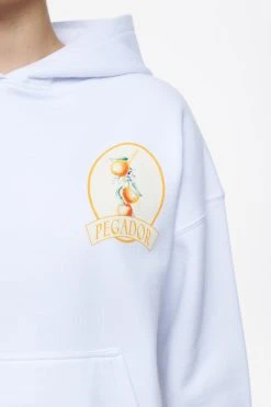 Pegador Brenda Oversized Hoodie - Sweatshirt - White -Gant shop 0cca5f967b1948a3ba6b9ae1a804a049 scaled