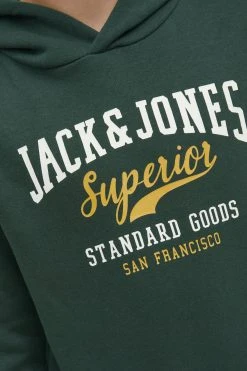 Jack & Jones Junior Elogo- Hoodie - Pine Grove -Gant shop 0cccf0213a644d0da11f88a15c448d3f scaled