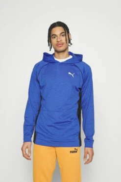 Puma Train Cloudspun Hoodie - Sweatjakke - Royal Sapphire Heather -Gant shop 11305771d54a45c9a91cccdf196f3b97 scaled