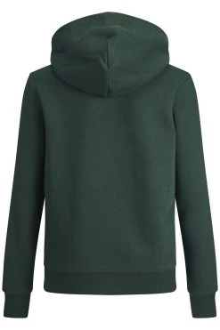 Jack & Jones Junior Elogo- Hoodie - Pine Grove -Gant shop 12bfbbeb9aa245b6953c9568ad289d51 scaled