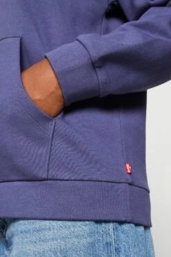 Levi's Graphic Salinas Hoodie - Sweatshirt - Dark Blue -Gant shop 14d9e8ef3ca340198d9968761654e2ba scaled