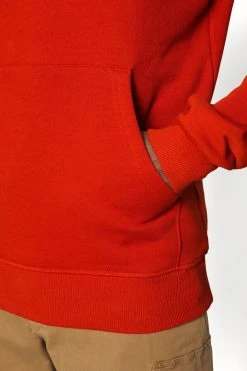 The North Face Drew Peak Hoodie - Hoodie - Rusted Bronze -Gant shop 1980bd7db5764bdc8cc5bfce6a54dfa3 scaled