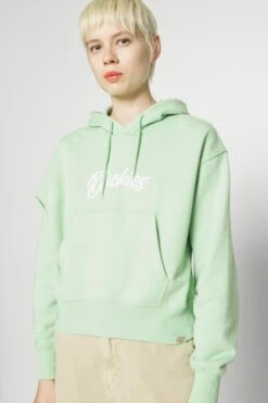 Dickies Mayetta Hoodie - Hoodie - Quiet Green -Gant shop 1a0ea8c992d4497ab00255620da41fb6 scaled