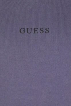 Guess Roy Hoodie - Hoodie - Violet Ash -Gant shop 1b256e3c70764b3d89afa4461a06187b scaled