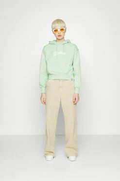 Dickies Mayetta Hoodie - Hoodie - Quiet Green -Gant shop 227b4cb71b53454da7d6571eb3bde2bd scaled