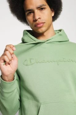 Champion Hooded - Hoodie - Green -Gant shop 22ef4cb58b5b4844a56171b520a0607e scaled