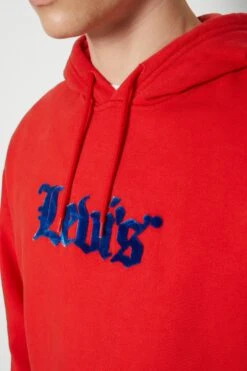 Levi's Relaxed Graphic - Hoodie - Olde English Aura Orange -Gant shop 26a770a9e2bc48d78c5fed403aaa27f1 scaled