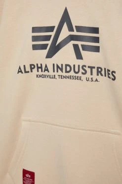 Alpha Industries Basic Hoody Kids Teens - Hoodie - Stream White -Gant shop 28e33119588649dbb5b27394103a0821 scaled