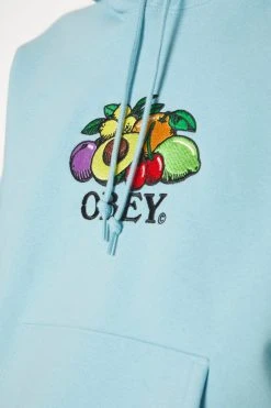 Obey Clothing Basket Hood - Hoodie - Sky Blue 15 Obey Clothing Basket Hood - Hoodie - Sky Blue -Gant shop 2b64f3eafbec4dd79bc225c33e638495 scaled