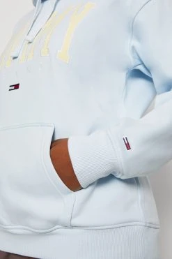 Tommy Jeans Pop Collegiate Hoodie - Sweatshirt - Below -Gant shop 2df4cc5aa6b34c9aaf2569f94126a8fd scaled