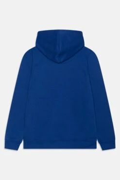 Alternative view of Levi's Batwing Fill Hoodie - Hoodie - Sodalite Blue