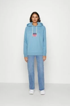 Gant Shield Hoodie - Hoodie - Gentle Blue -Gant shop 371541db382d4d64a81013f3a06aafab scaled