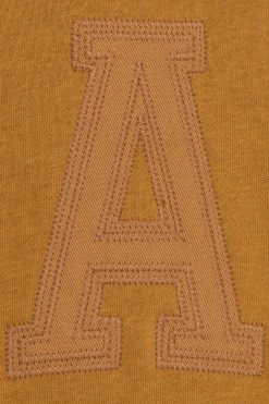 GAP Arch Hood Boys - Hoodie - Honey Mustard 7 GAP Arch Hood Boys - Hoodie - Honey Mustard -Gant shop 3c15c83e54824675b3ffc66de6f4bcbe scaled