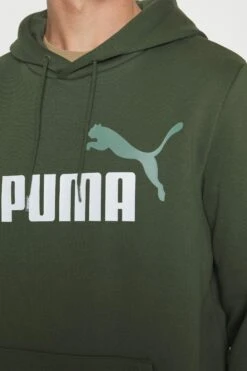 Puma Big Logo Hoodie - Hoodie - Myrtle -Gant shop 46aee8d1cb1e43dfa47c503179f56adf scaled
