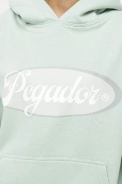 Pegador Mellie Oversized Hoodie Vintage - Sweatshirt - Washes Milky Green -Gant shop 4993532b77c04bfb9a2698f6f82f5cce scaled