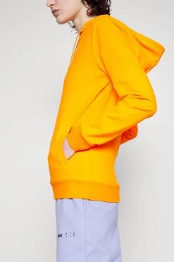 EA7 Emporio Armani Hoodie - Exuberance -Gant shop 5247ac5dd4d64c98a245bee790c24411 scaled