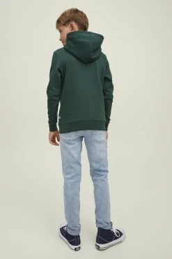Jack & Jones Junior Elogo- Hoodie - Pine Grove -Gant shop 575a97020cae42cdb68e0d094f834ced scaled