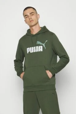 Puma Big Logo Hoodie - Hoodie - Myrtle -Gant shop 59b3395715d44a70a89c2aca3d9da20b scaled