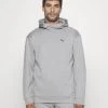 Puma Rad/Cal Hoodie - Hoodie - Concrete Gray 2 Puma Rad/Cal Hoodie - Hoodie - Concrete Gray -Gant shop 5d4120d7658a4fbab0fb5864ead8587e