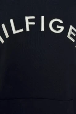 Tommy Hilfiger Varsity Hoodie - Sweatshirt - Desert Sky -Gant shop 607dd015c1334f1c9aa42dc9428d2177 scaled