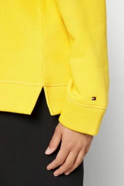 Tommy Hilfiger Curve Regular Hoodie - Hoodie - Countryside Yellow -Gant shop 613dca7de8ac42eaa307ff8a18a6eede scaled