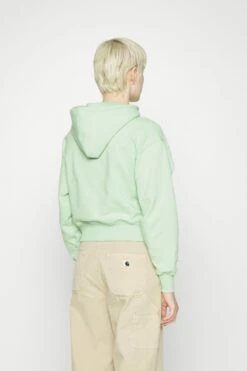 Dickies Mayetta Hoodie - Hoodie - Quiet Green -Gant shop 614830eac7ff4b7bb31112dfb2f4dd72 scaled