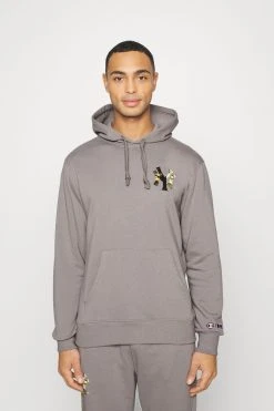 Champion Mlb New York Yankees Infill Hoodie - Hoodie - Grey