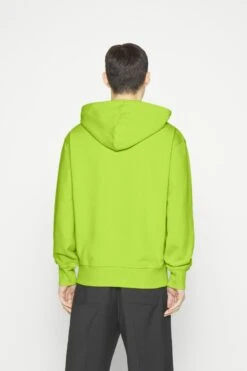 Boss Webasichood - Hoodie - Bright Green -Gant shop 67169c8f377847549b7a4203624a5363 scaled