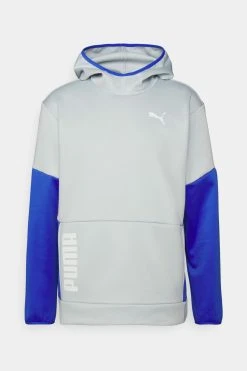 Puma Train All Day Hoodie - Hoodie - Platinum Gray/Royal Sapphire -Gant shop 679061ac86954c6aa82f5abce5089f44 scaled