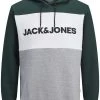Jack & Jones Jjelogo Blocking Hood - Hoodie - Grün 2 Jack & Jones Jjelogo Blocking Hood - Hoodie - Grün -Gant shop 6cdd6a6cc74c49d28ccb2603a6ce3a92