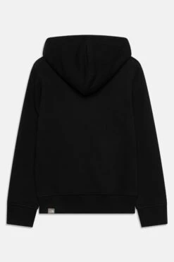 The North Face Drew Peak Hoodie Unisex - Hoodie - Black -Gant shop 7018caecc54645b3bd0c68affef30ec1 scaled