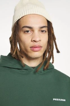 Pegador Logo Oversized Hoodie Unisex - Sweatshirt - Washed Forest Green -Gant shop 719f0a31578c4be29abfc1cee8367146 scaled