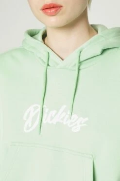 Dickies Mayetta Hoodie - Hoodie - Quiet Green -Gant shop 76f88fda82684445ae2d6f3be19446c6 scaled