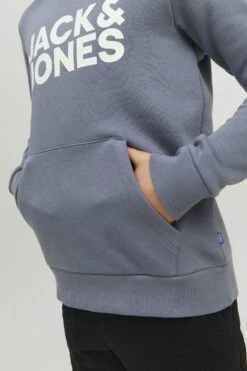 Jack & Jones Junior Jjecorp Logo- Hoodie - Flint Stone -Gant shop 79c98bb9c1b24574890fc8fd9bd0c58a scaled