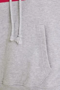 Levi's Graphic Standard - Hoodie - Heather Grey -Gant shop 8148f3a6fa19492bb5574dd0fc76af6f scaled