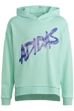 Adidas Sportswear Hoodie - Easy Green/Silver Met.
