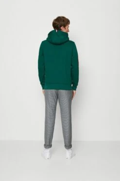 Tommy Hilfiger Pop Prep Hoodie - Sweatshirt - Prep Green 10 Tommy Hilfiger Pop Prep Hoodie - Sweatshirt - Prep Green -Gant shop 8e80c0a45ffd408f9a9ec7b5b1374f51 scaled