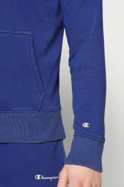 Champion Hooded- Hoodie - Dark Blue -Gant shop 92cb9855f58f42779e7c874f53a48474 scaled