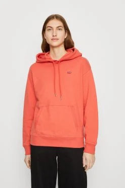 Levi's Standard Hoodie - Hoodie - Burnt Sienna