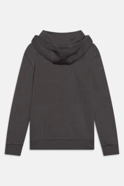 Adidas Originals Trefoil Junior Unisex - Hoodie - Grey Five -Gant shop 9f02a76f08d3436a8233036e1ec333b8 scaled