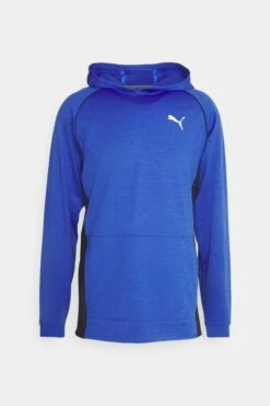 Puma Train Cloudspun Hoodie - Sweatjakke - Royal Sapphire Heather -Gant shop a06e63c9403b4a5baa98e7de62611820 scaled