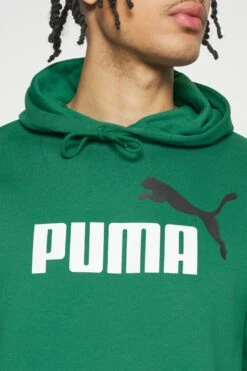 Puma Big Logo Hoodie - Hoodie - Vine -Gant shop a266a1004157469ca5df667b191575f1 scaled
