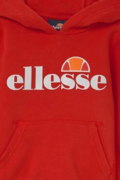 Ellesse Isobel Hoody - Hoodie - Red -Gant shop ad1e40579ce8445d92c8d2b92b241918 scaled