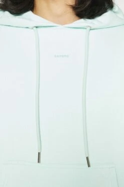 Sandro Hoodie - Sweatshirt - Bleu Menthe -Gant shop ae6a8d810c8740a1a89c78942d09e6fd scaled