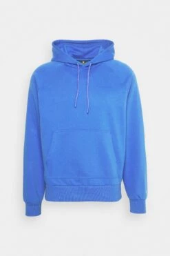 Champion Hooded - Hoodie - Blue -Gant shop af6b13ff46c942f7b3c31a1528429831 scaled