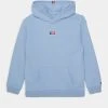 Tommy Hilfiger Timeless Hoodie - Sweatshirt - Pearly Blue 1 Tommy Hilfiger Timeless Hoodie - Sweatshirt - Pearly Blue -Gant shop b5b814b1b01944fea9ebd0576fe2ed2f